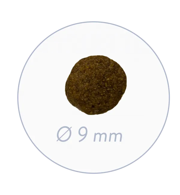 Sanabelle Sterilized (Санабелль Стерилайз) - корм для стерилизованных кошек