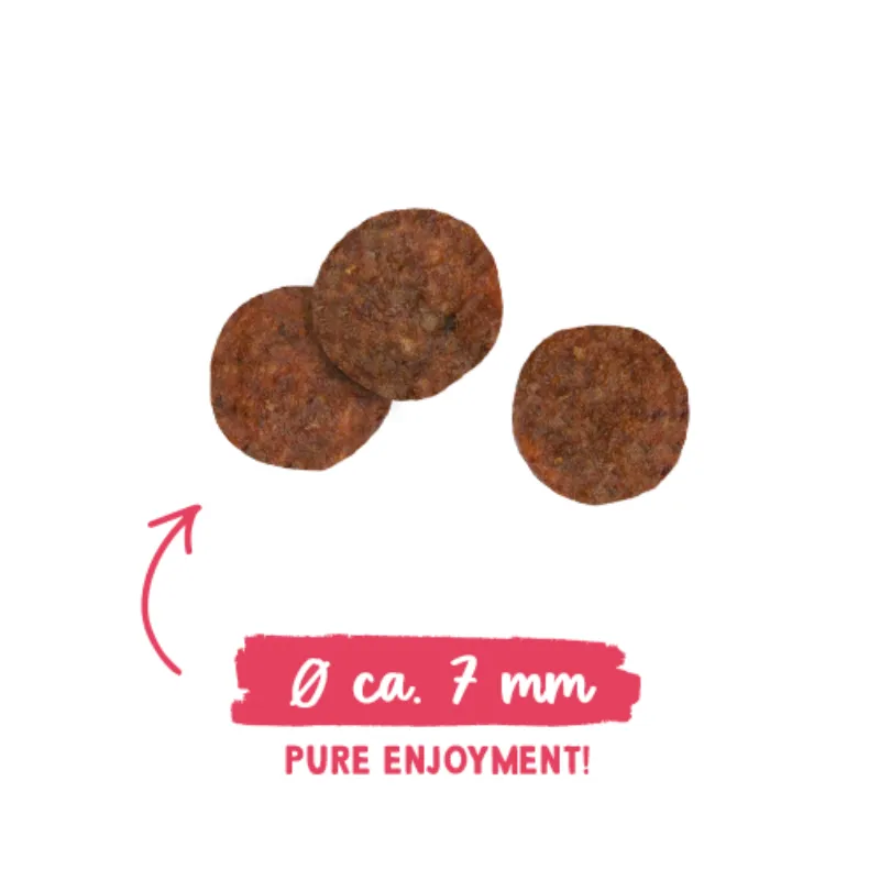 Sanabelle Adult with poultry (Санабелль Эдалт с курицей)