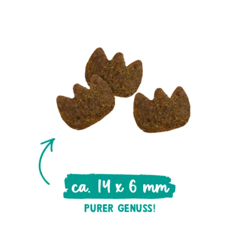 Sanabelle Dental (Санабелль Дентал)